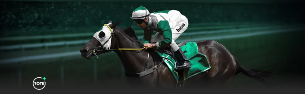 西班牙队客,场屡败荷兰,队战绩不佳,龙8国际会员登录入口,龙8国际官网,龙8国际