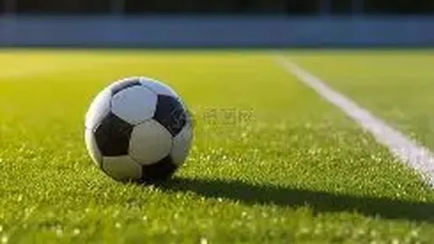 龙8国际 产品 102208 tg6