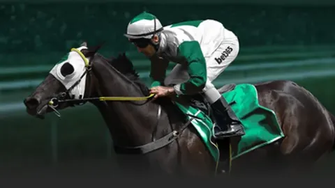 西班牙队客场屡败荷兰队战绩不佳