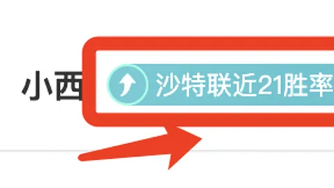 “中国队联合杯网球赛八强折戟”